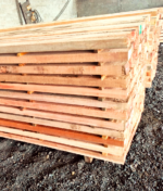 Kapur Wood Properties: Strength, Durability, and Common Uses